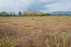 ac4dd61270c2889cd1d3