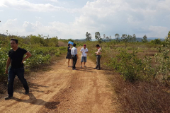 cf8bafd50905f15ba814